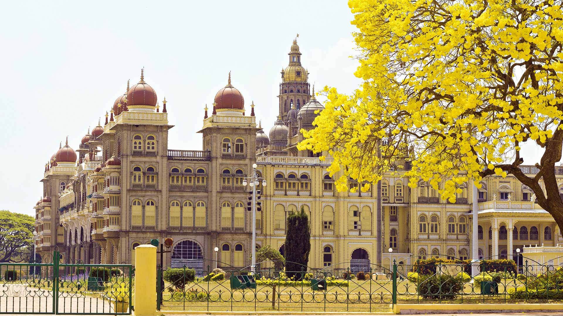 Mysore
