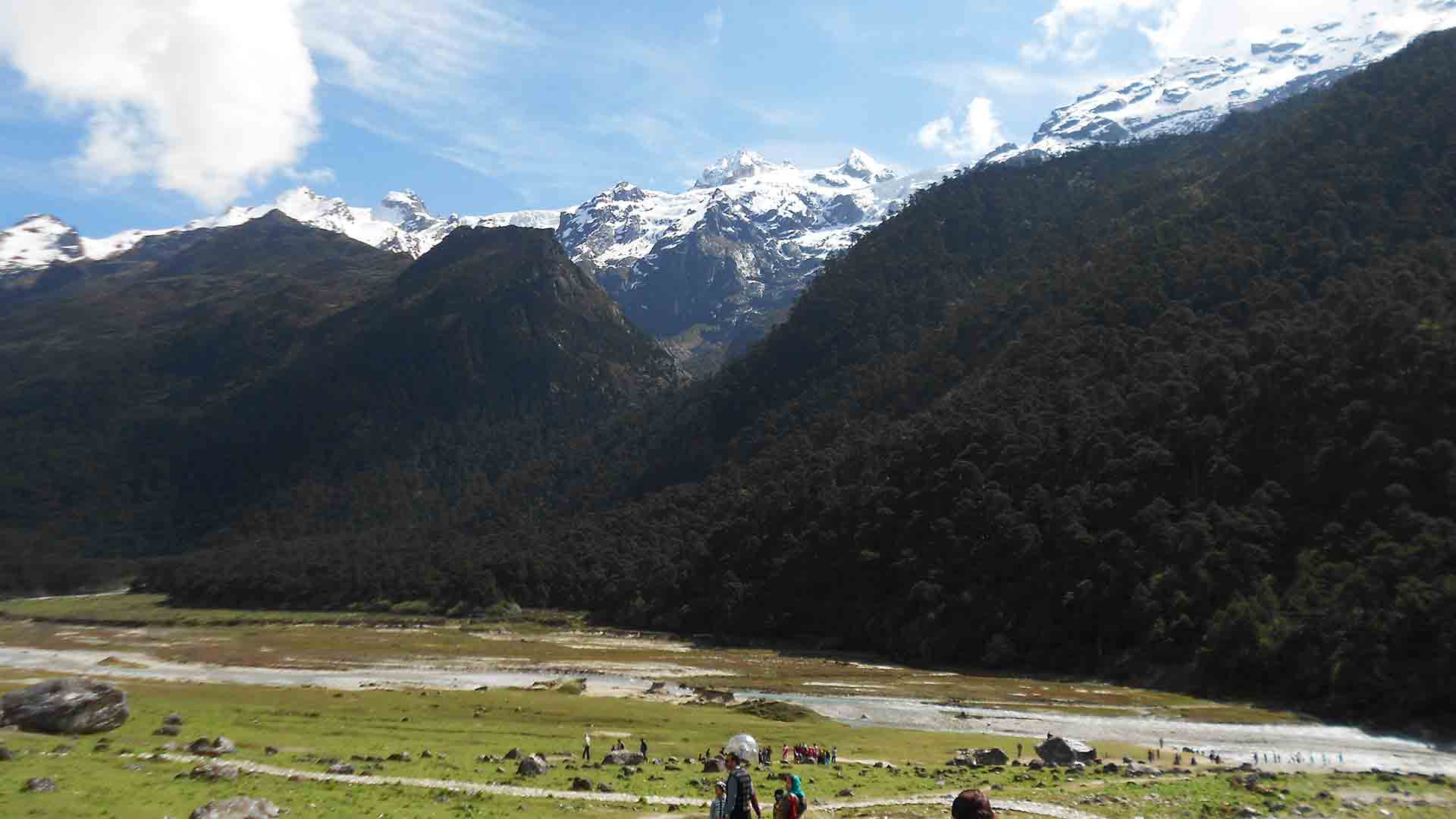 Yumthang Valley