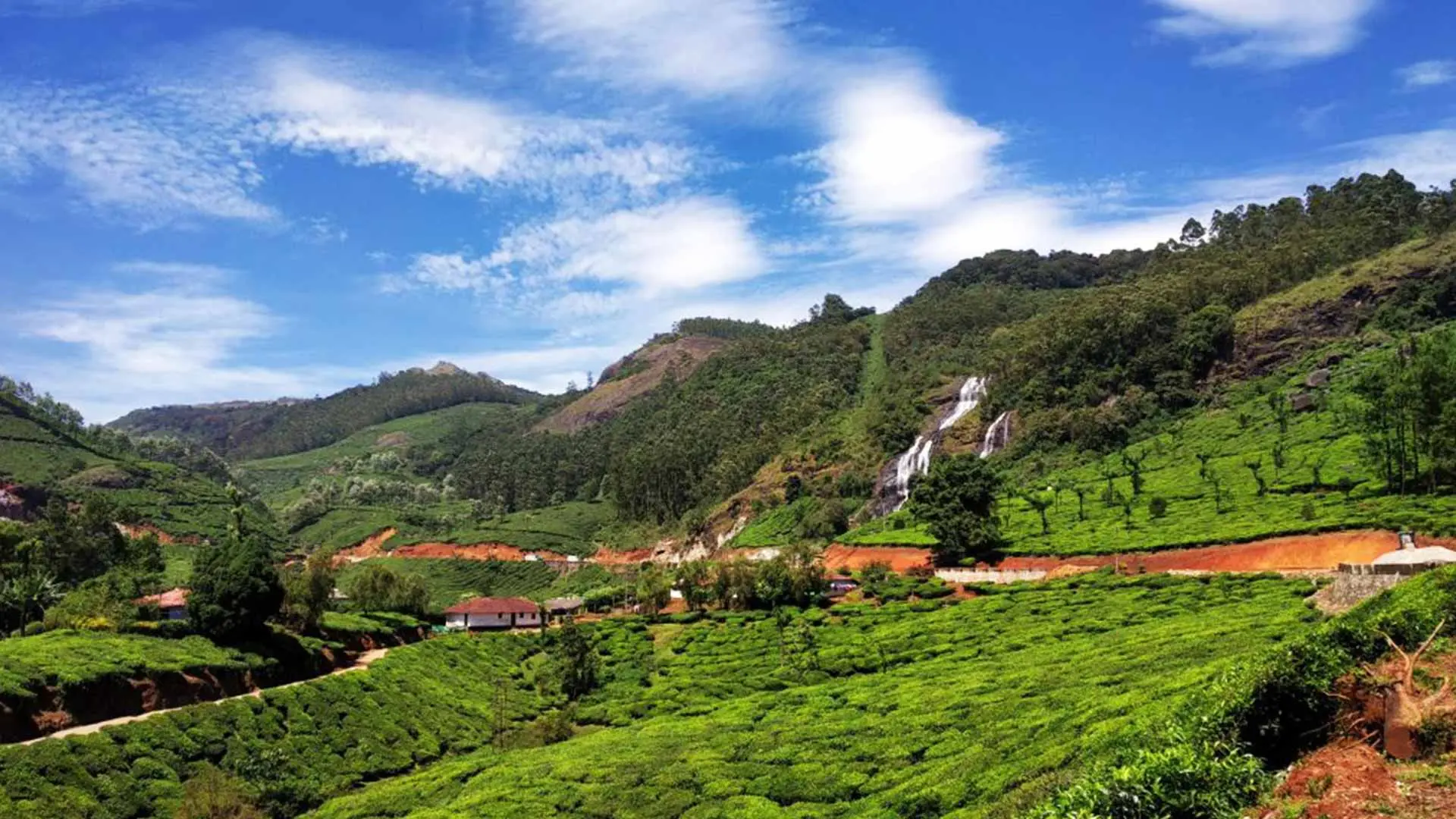 Majestic Munnar - An Exclusive Journey into Nature's Paradise