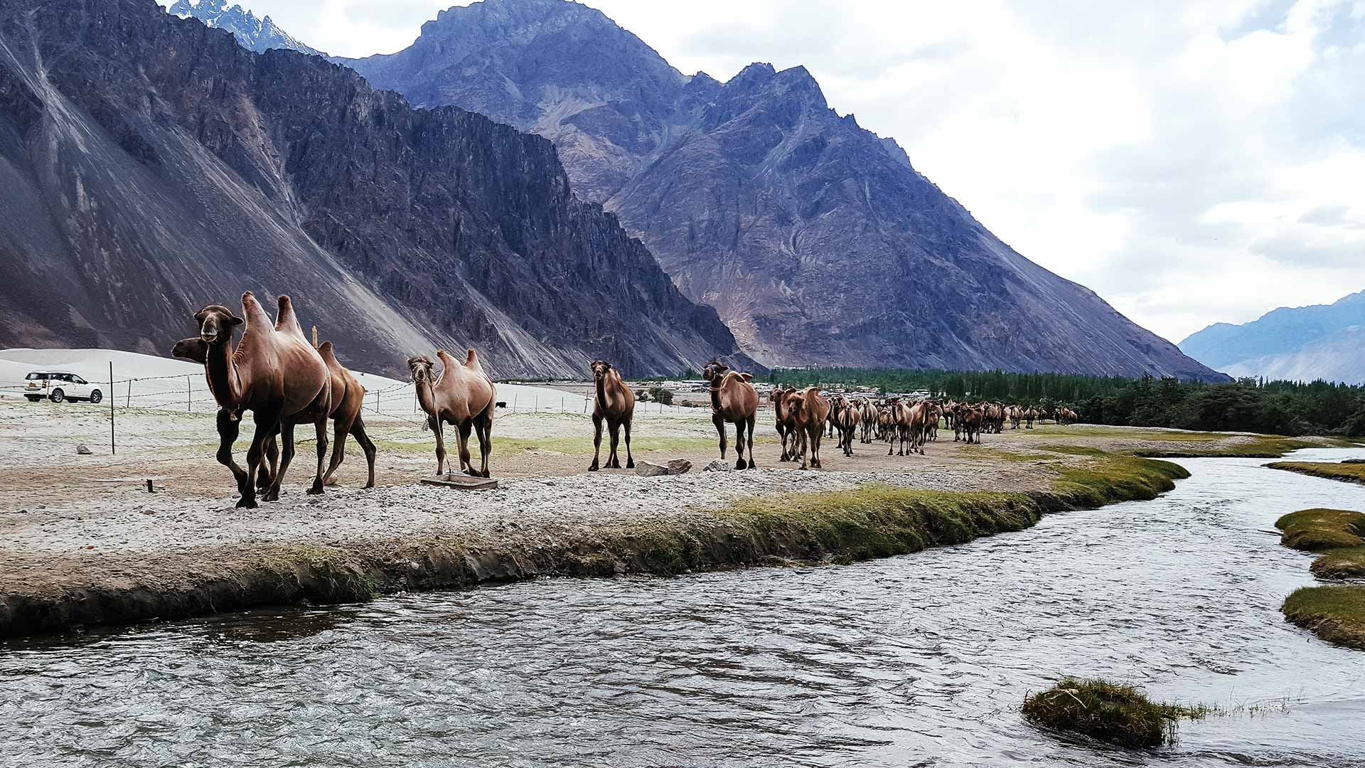 Nubra Valley