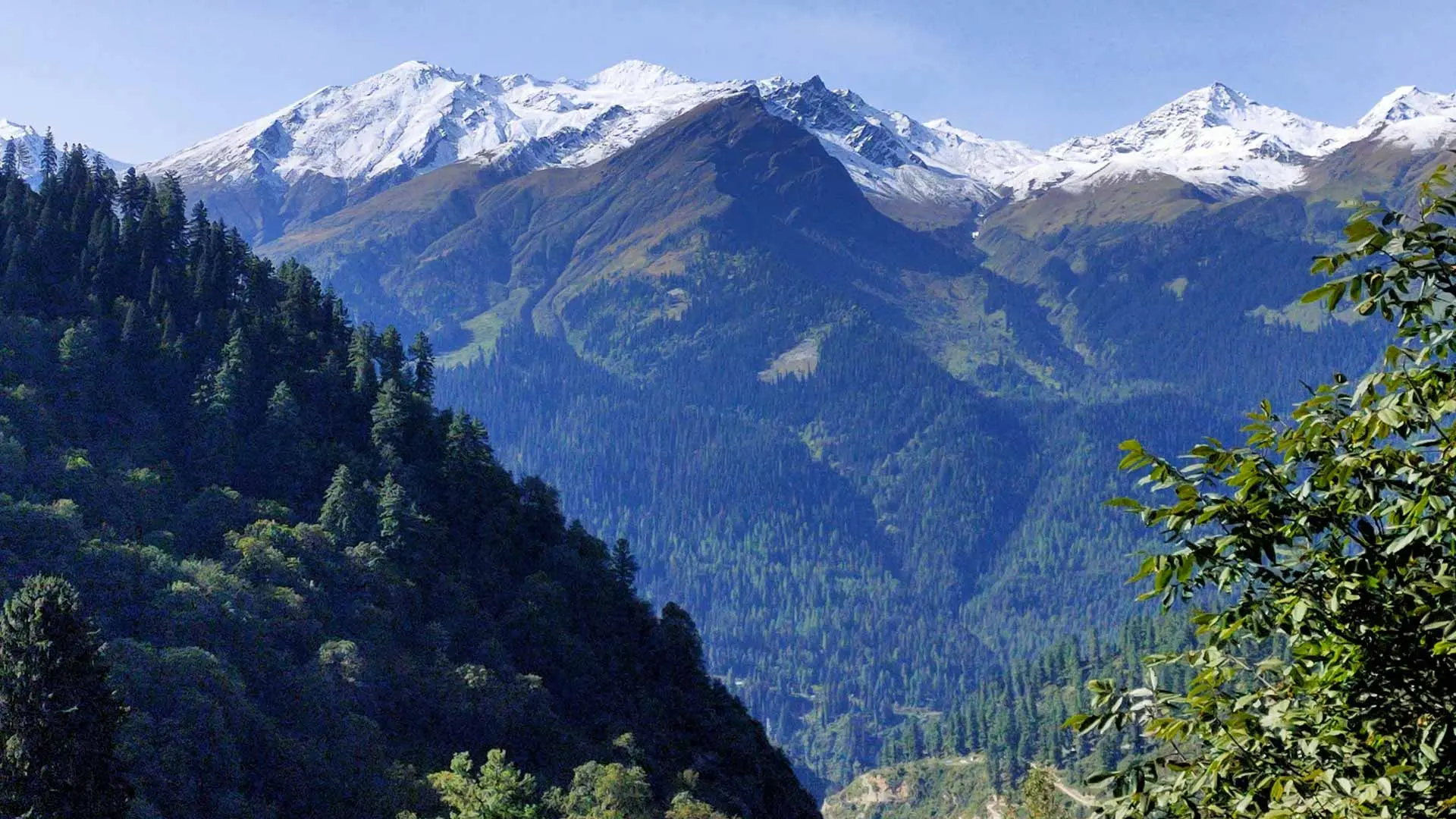 Discovering the Magic of Himachal Pradesh - Exclusive Shimla & Manali Tour