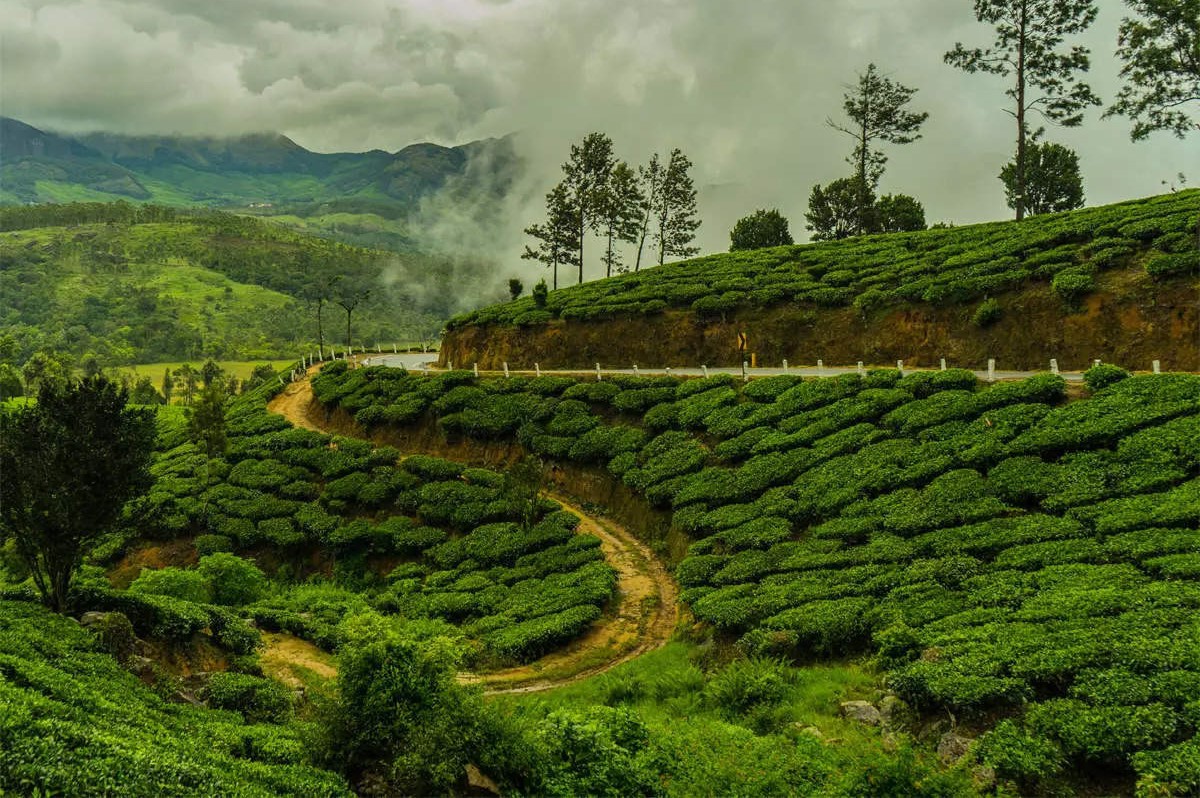 An Adventure to Sikkim-Darjeeling